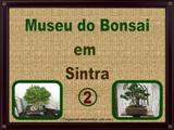 Museu do Bonsai 2